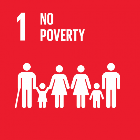 Goal 1 – No poverty
