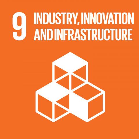 Goal 9 – Innovation and infrastructure