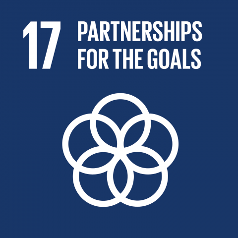 Goal 17 – Partnerships to achieve the goals