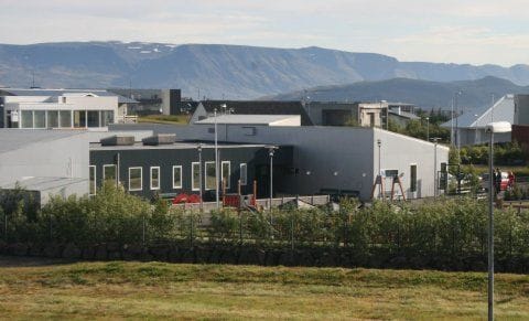Aðalþing