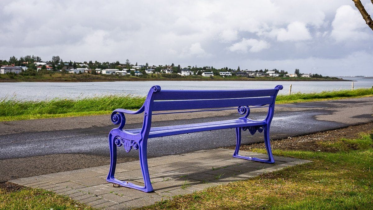Fjólublár bekkur sem hefur verið settur upp á Kársnesi í tengslum við vitundarvakningu Alzheimer sa…
