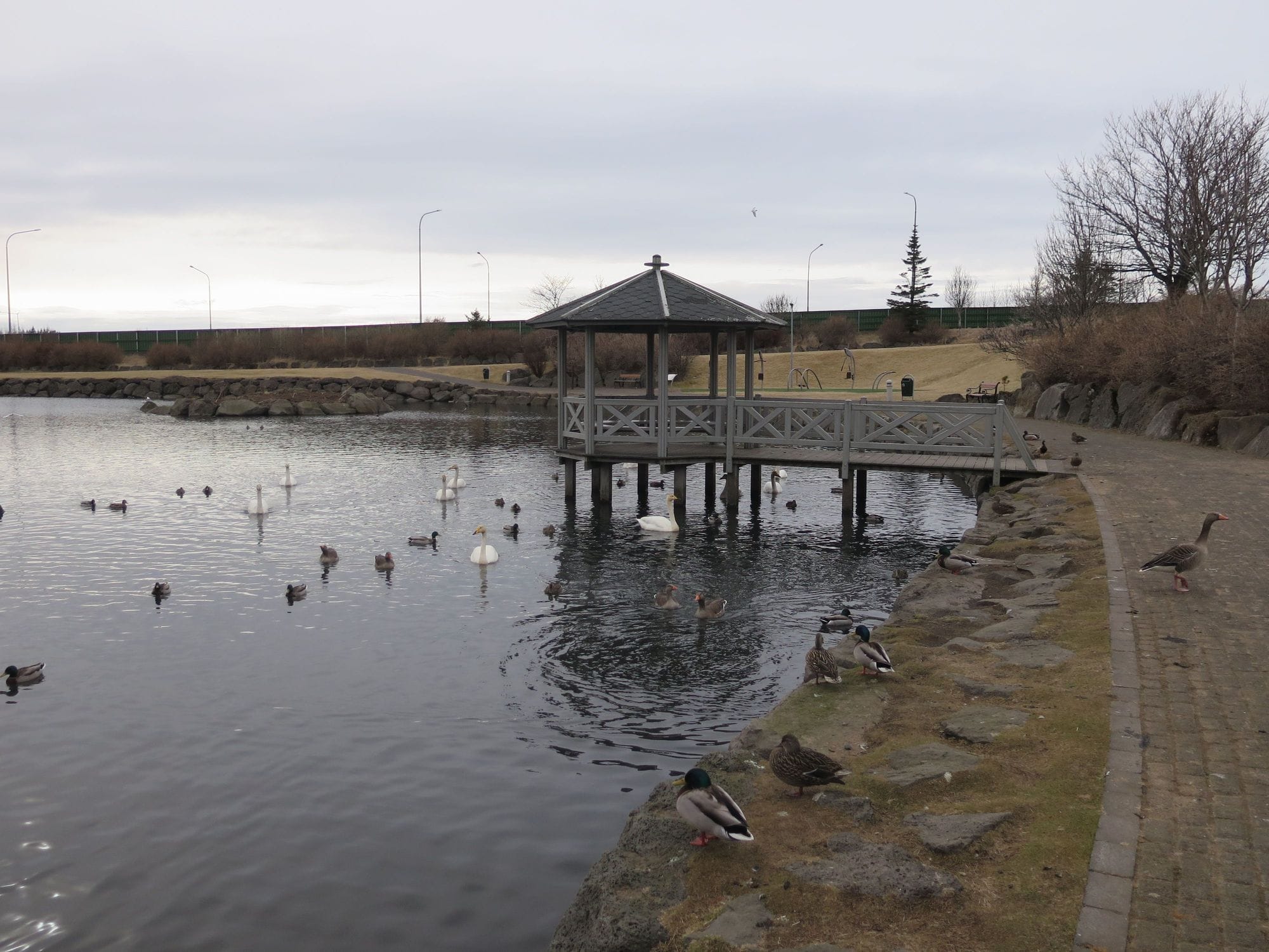 Kópavogsdalur