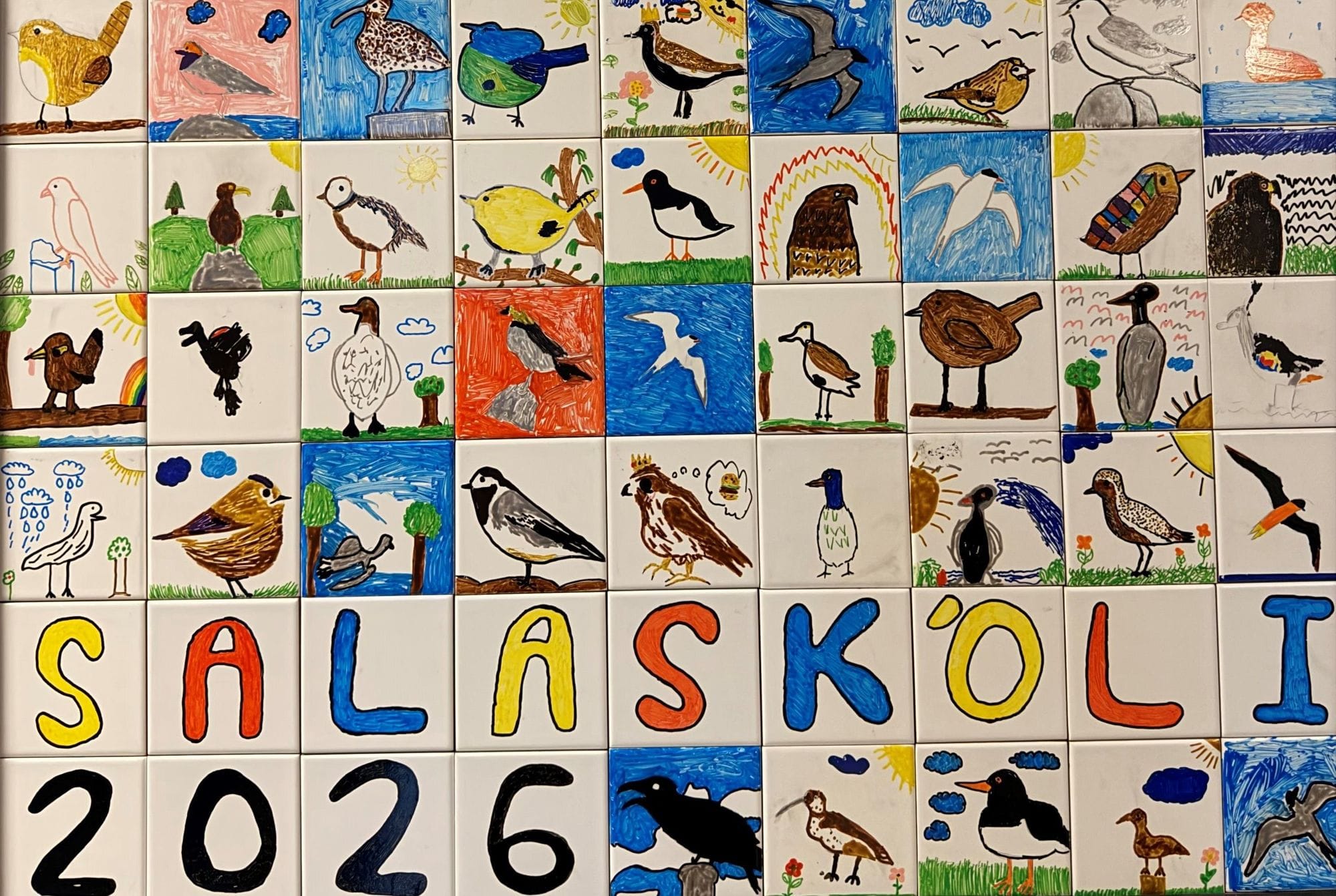 Salaskóli 25 ára.