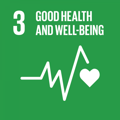 Goal 3 – Good health and well-being