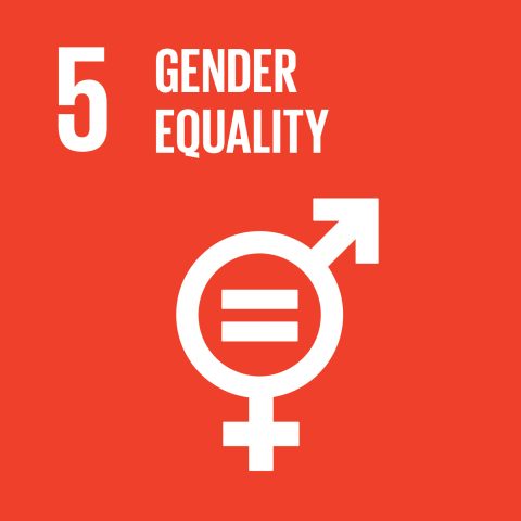 Goal 5 – Gender equality
