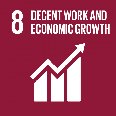 Goal 8 – Decent work and economic growth