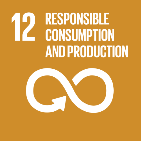 Goal 12 – Responsible consumption and production