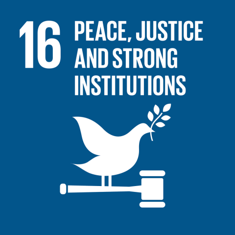 Goal 16 –  Peace and justice