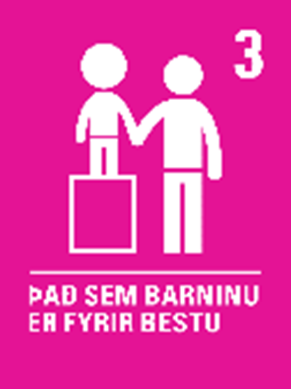 Það sem barninu er fyrir bestu 3