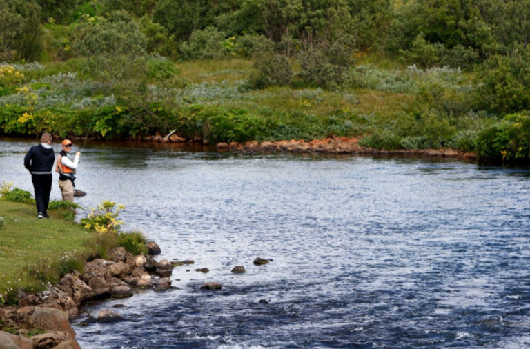 Elliðavatn_8