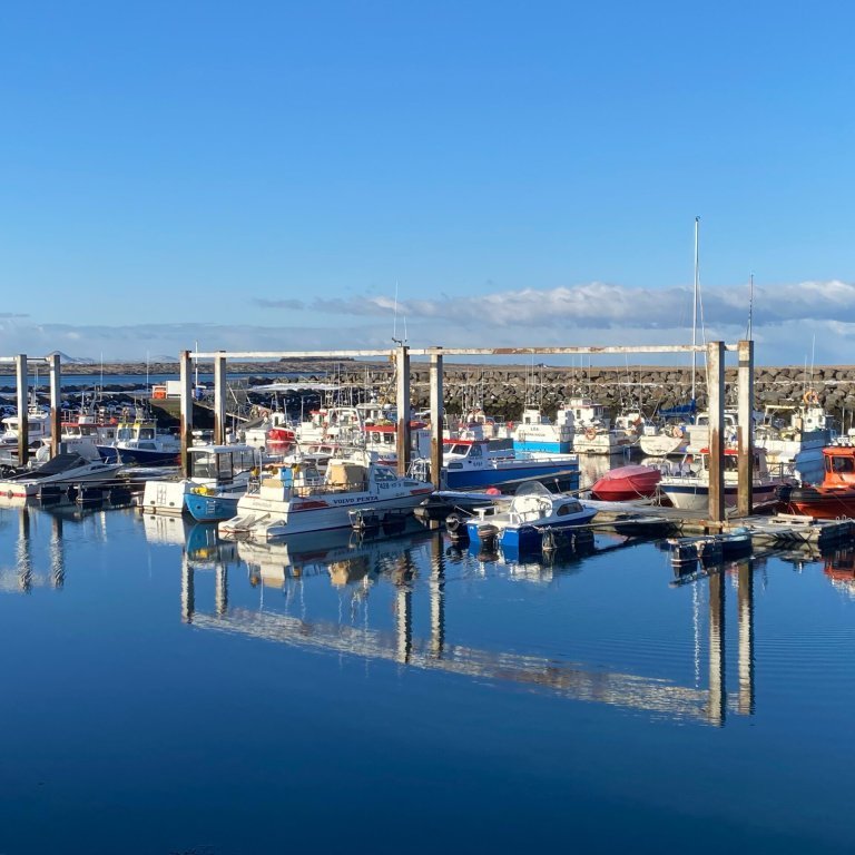 freysteinn-g-jonsson-6enifa-wlt0-unsplash-scaled.jpg
