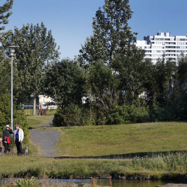 Fossvogsdalur_113