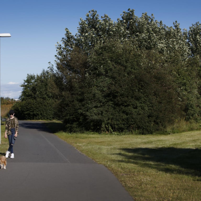 Fossvogsdalurinn_173