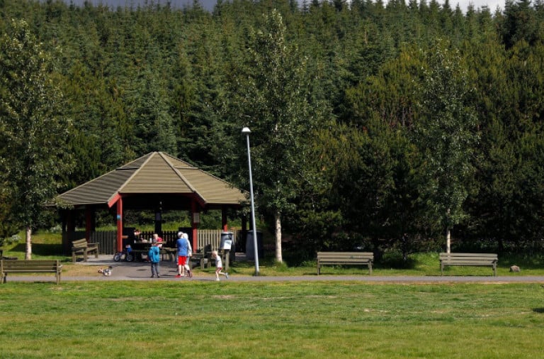 Guðmundarlundur10