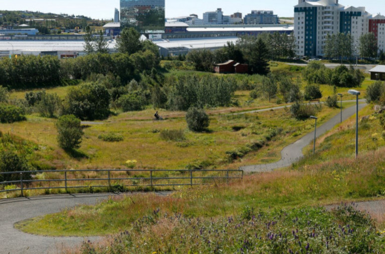 Kópavogsdalur_28