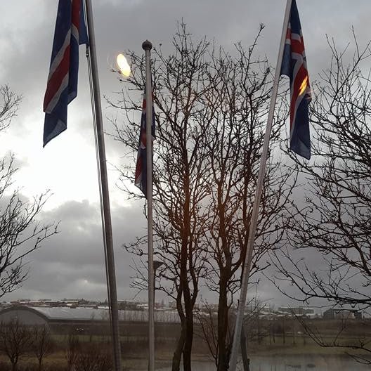 Flaggað