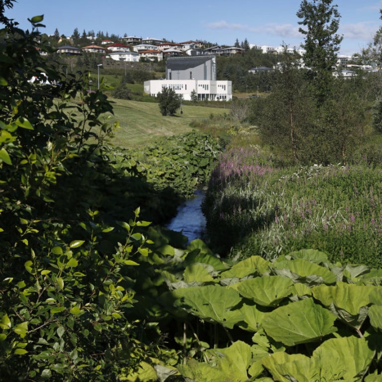 Kópavogsdalur_12