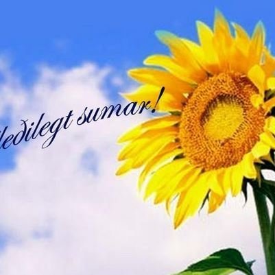 gledilegt-sumar.jpg