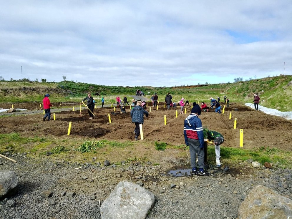 Líf og fjör í Skólagörðum í Kópavogi.
