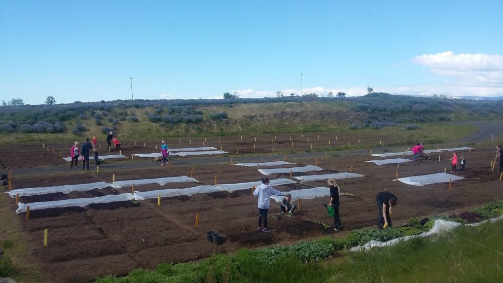 Skólagarðar Arnarnesvegi