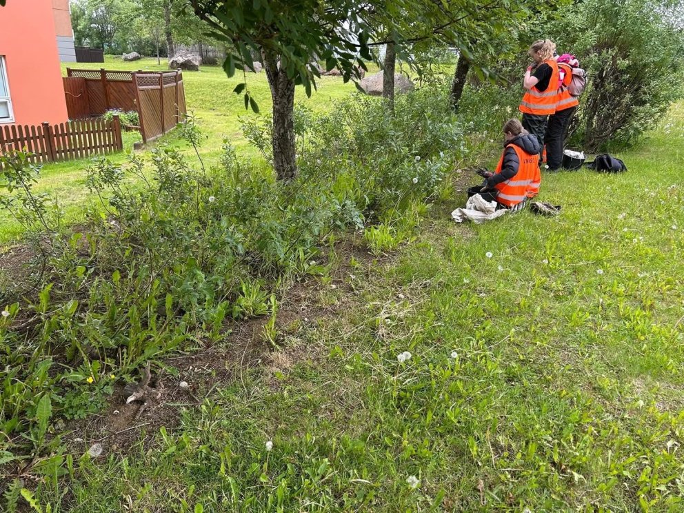 Í ár mættu 1.378 einstaklingar til vinnu hjá Vinnuskólanum.