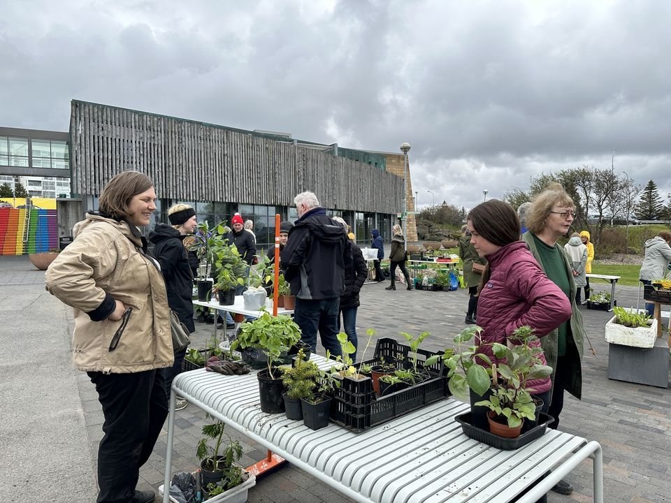 Árlegur plöntuskiptidagur Garðyrkjufélags Íslands fer fram 31. ágúst.