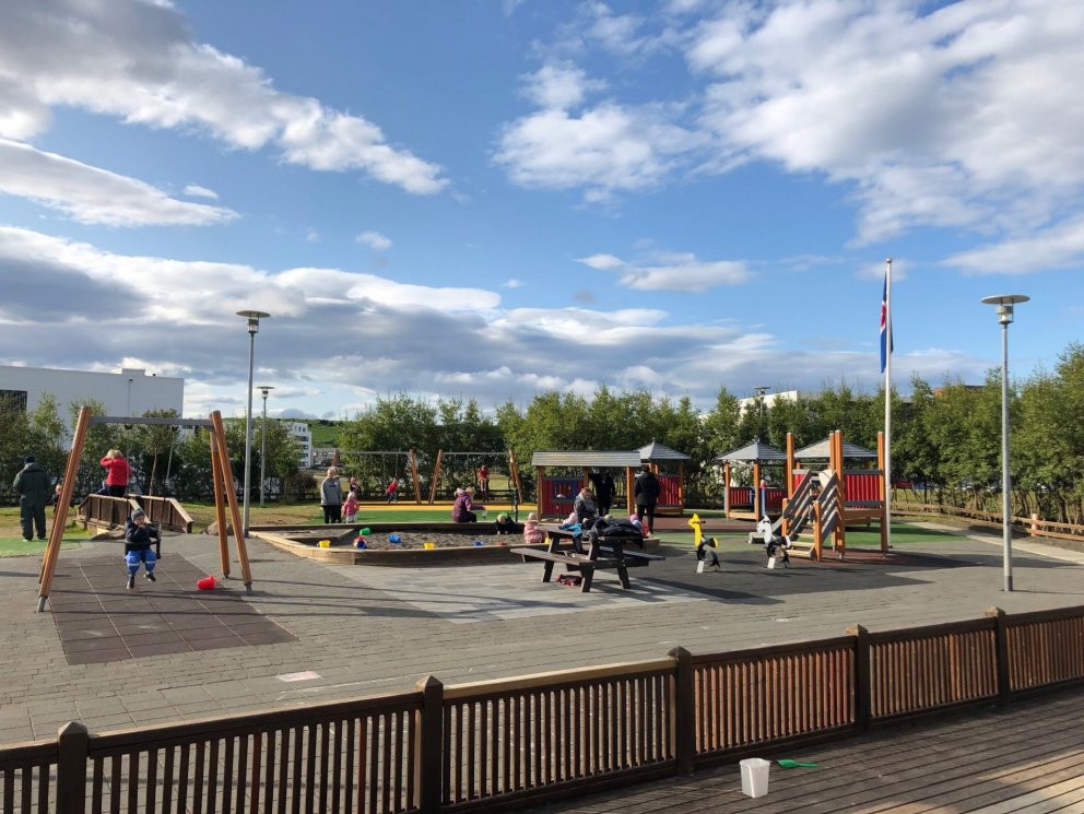 Aðalþing í Kópavogi.