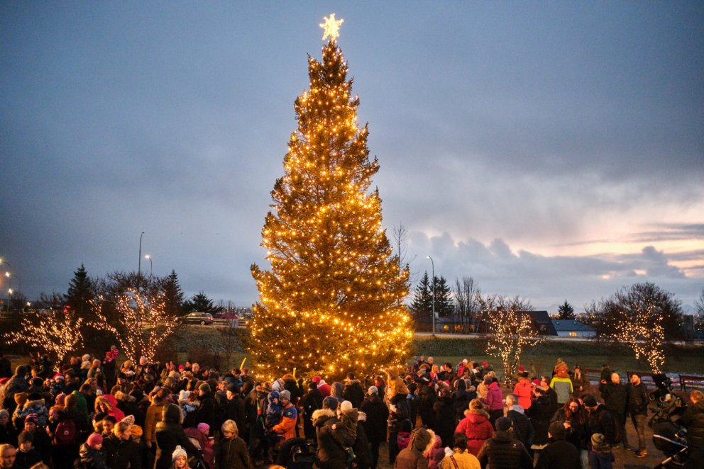 Kópavogsbær hirðir jólatré íbúa 7.-16.janúar.