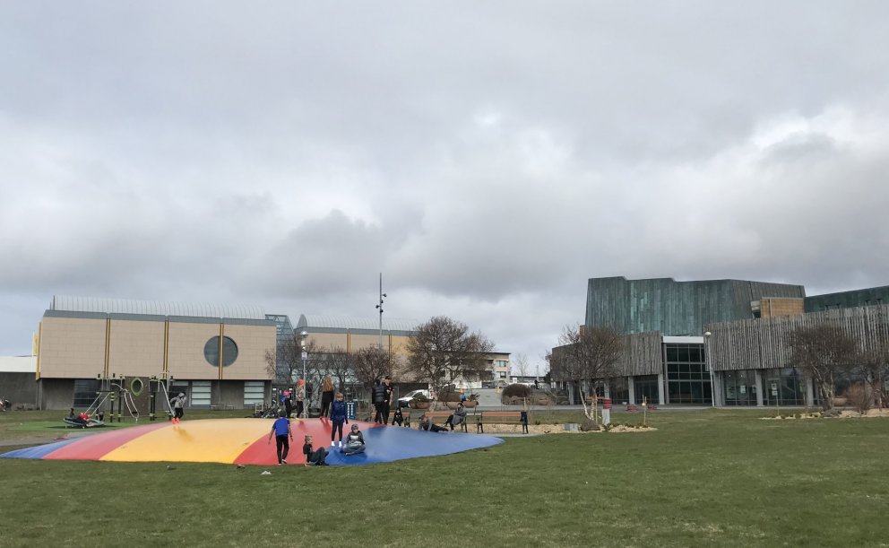 Ærslabelgur á túninu við Menningarhúsin