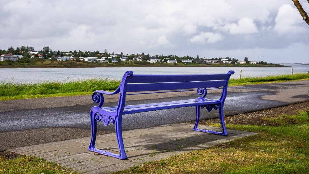 Fjólublár bekkur sem hefur verið settur upp á Kársnesi í tengslum við vitundarvakningu Alzheimer sa…