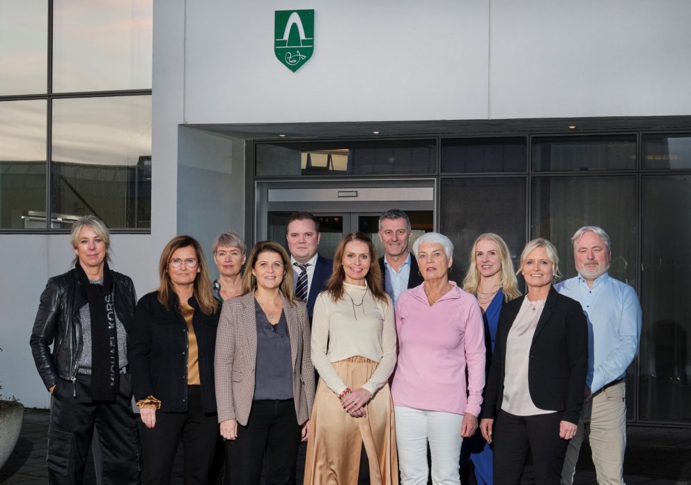 Bæjarstjórn Kópavogs.