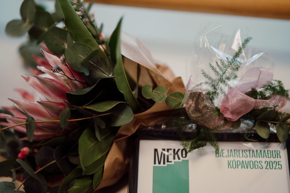 Auglýst er eftir bæjarlistamanni Kópavogs 2026.