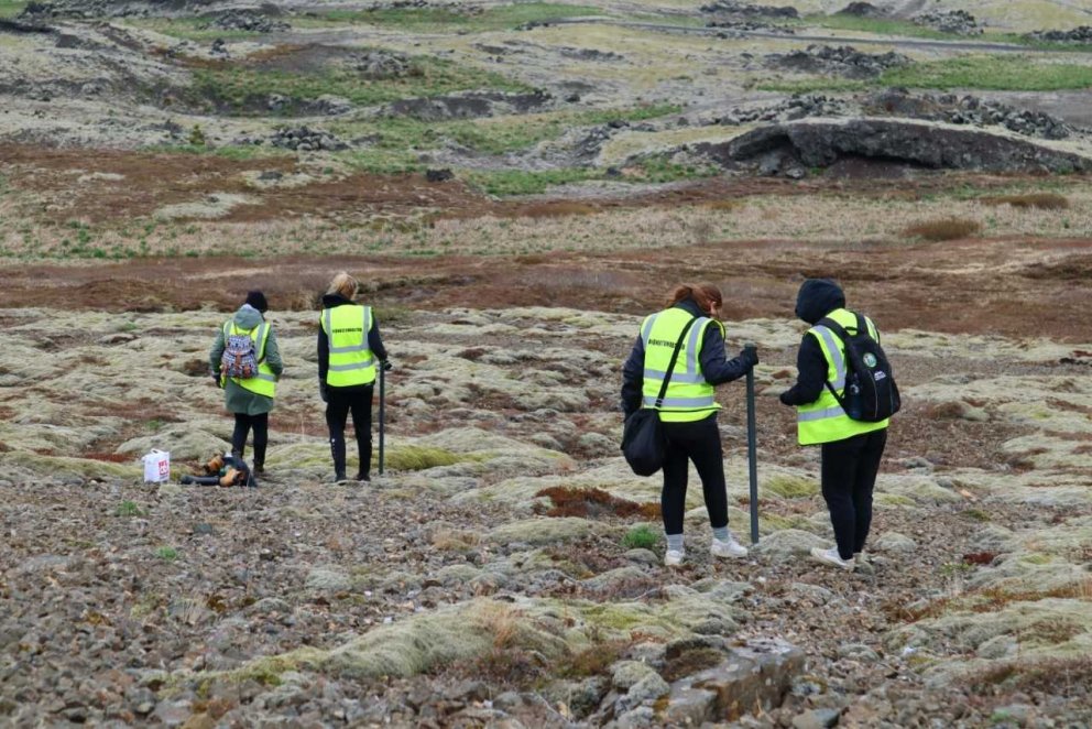 Birkisáning í Selfjalli.