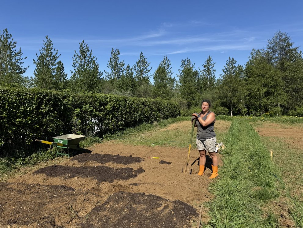 Rebeca er meðal leigjanda í garðlöndum neðan Kjarrhólma, annað árið í röð.