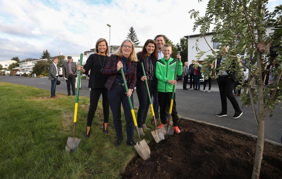 Gróðursetning í götu ársins 2017.