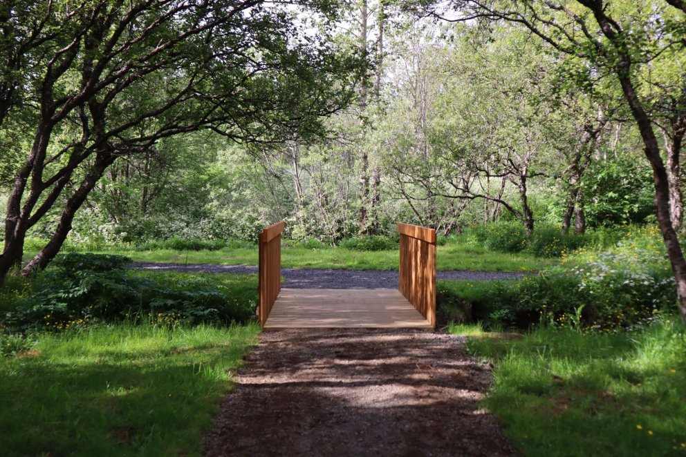 Hermannskógur er vestast í Fossvogssdal.