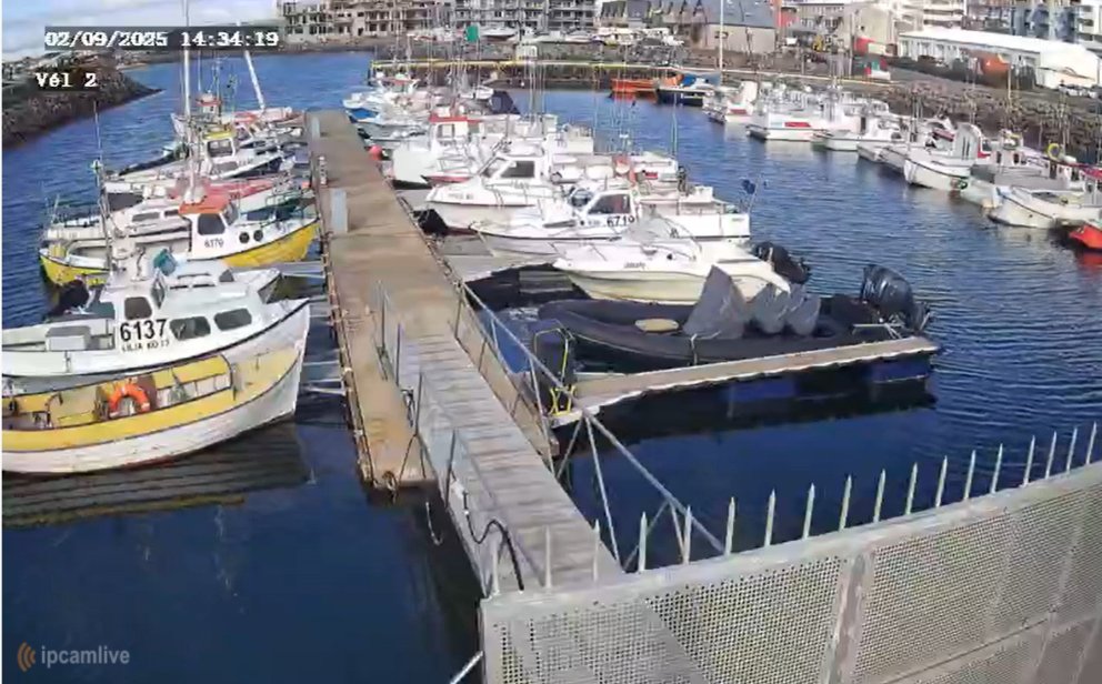 Streymi frá vefmyndavél við höfnina í Kópavogi