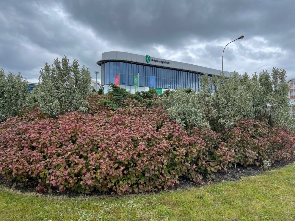 Hringtorg við Digrasnesveg er eitt af fjölmörgum hringtorgum bæjarins.