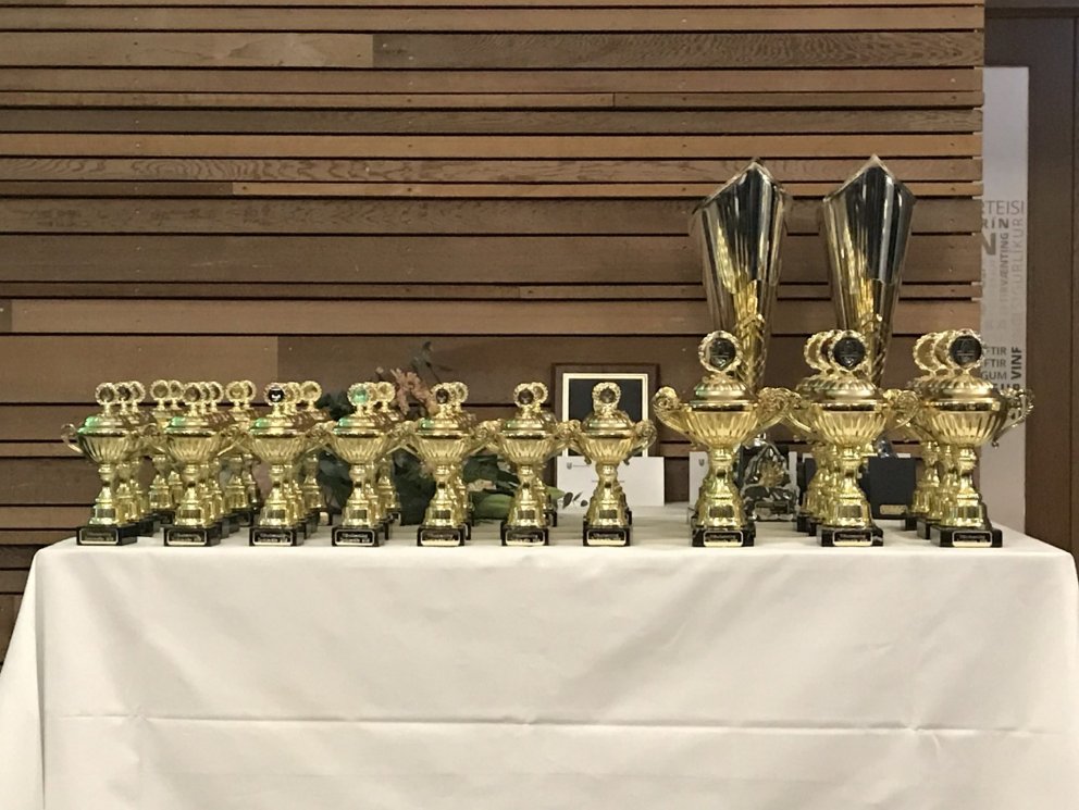 Íþróttahátíð Kópavogs fer fram föstudaginn 15.janúar.