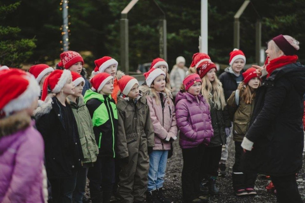 Úr jólalundinum í Guðmundarlundi.