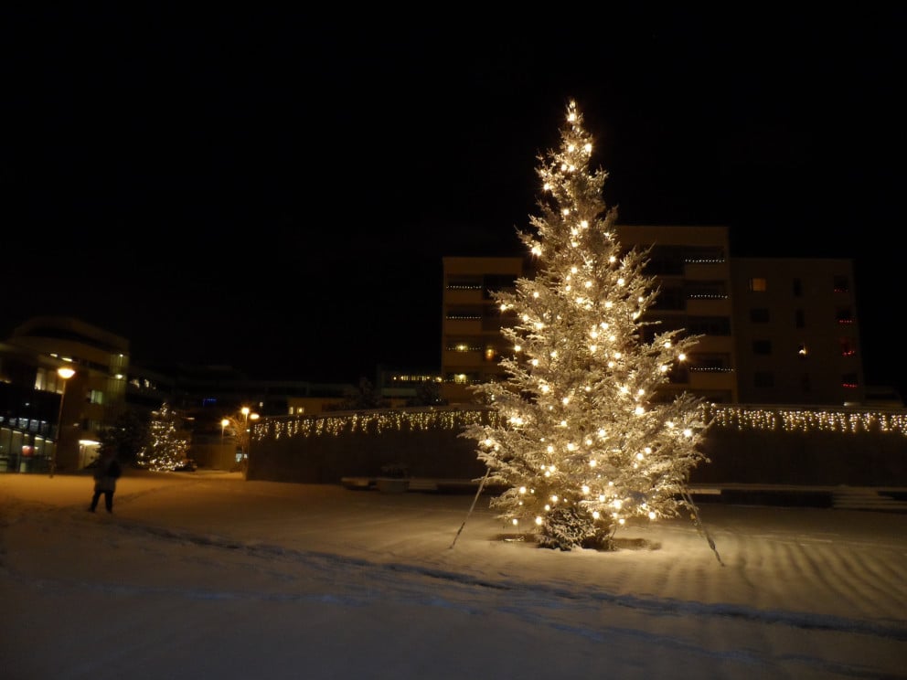 Jólatré við Hálsatorg