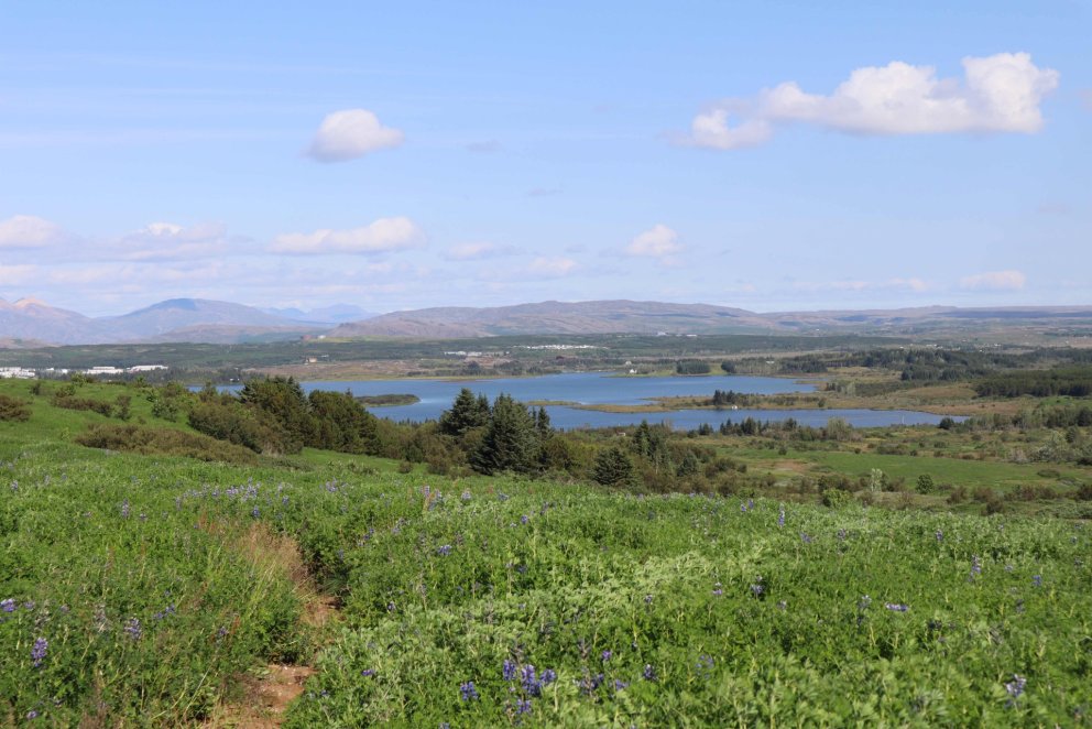 Í Kópavogi ofan Guðmundarlundar.