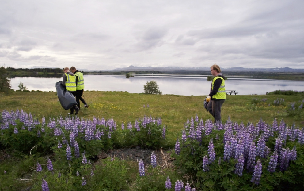 Sumarstarfsmenn í garðvinnu í Kópavogi tóku þátt í plasthreinsunardegi Vinnuskólans sumarið 2017.