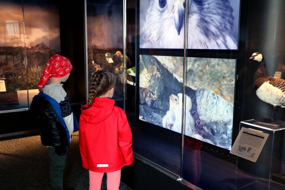 Börnin fóru í ævintýraferð í Náttúrufræðistofu Kópavogs.