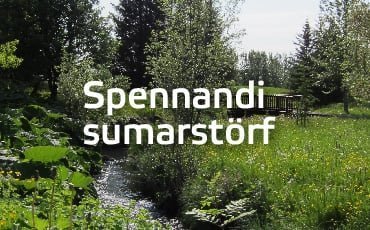Sumarstörf