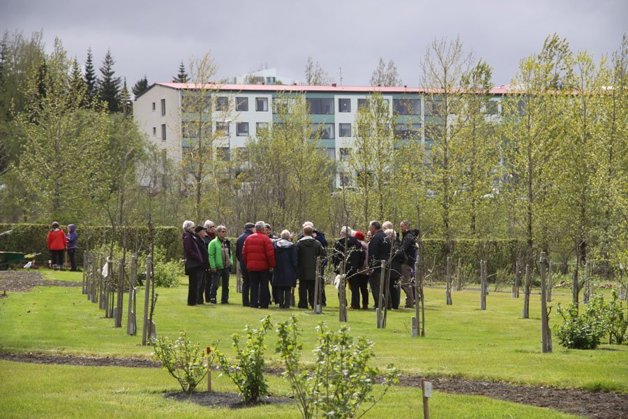 Frá fræðsludegi í Trjásafninu Meltungu.