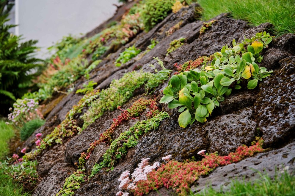 Frá Grænutungu 7 sem fékk viðurkenningu fyrir umhirðu húss og lóðar 2023.