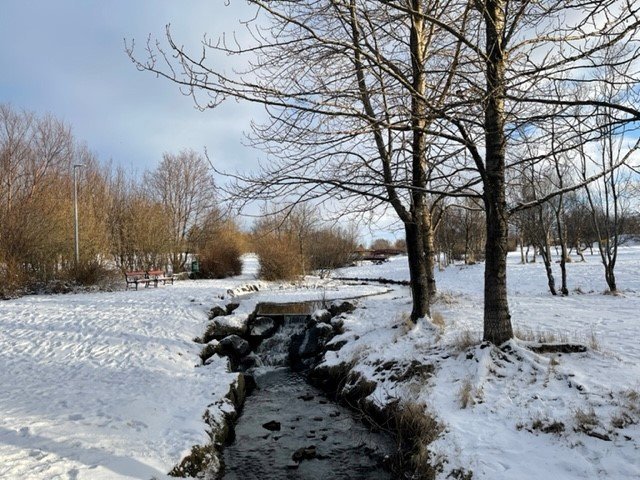 Fjölbreytt dagskrá er í vetrarfríi grunnskólanna í menningarhúsum Kópavogs.
