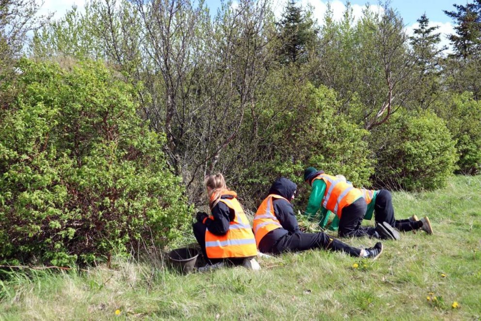 Sumarboðinn ljúfi, Vinnuskóli Kópavogs.