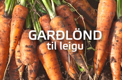 Garðlönd til leigu